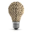Test Iq / Skor 53