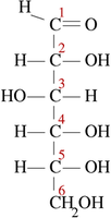 Biokimia 