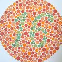 Test Buta Warna / Skor 100