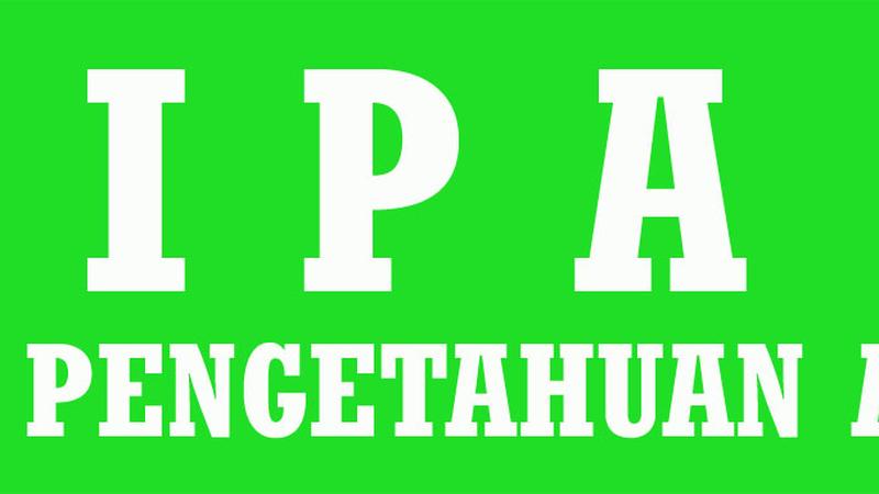 Un Smp Ipa