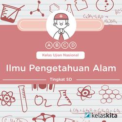 perkembangbiakan vegetatif